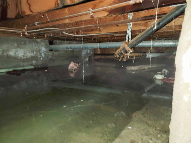 Best Residential Water Damage Restoration in Bethesda, MD