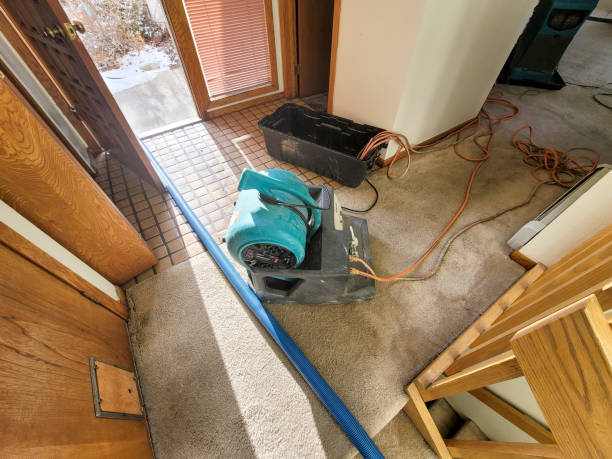 Best Odor Removal and Sanitization After Water Damage in Bethesda, MD